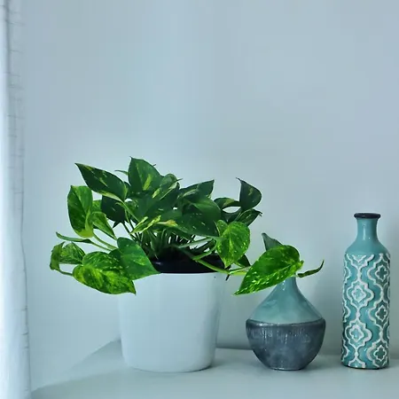 Coastal Couette-café *